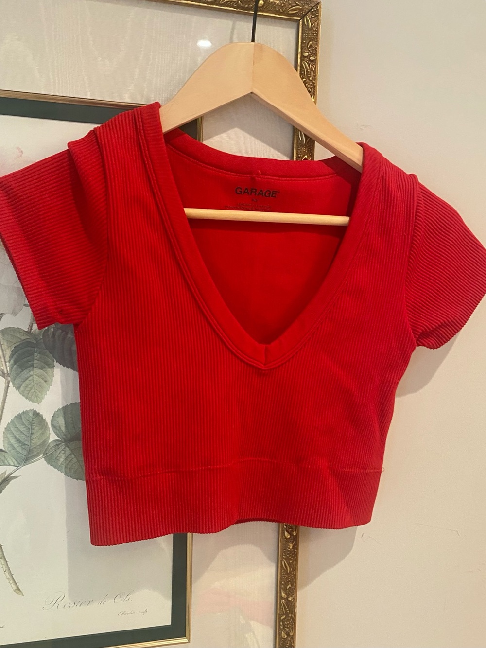 Garage Red Ribbed V-Neck Short Sleeve Crop Top